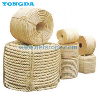 ISO1181-2004[E] 3 Dövenli Beyaz Sisal İpi